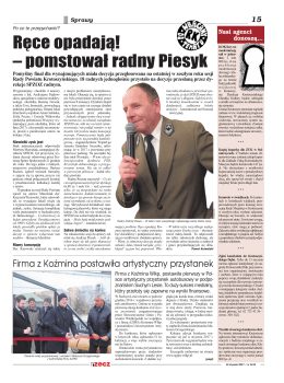 Ręce opadaj¹! – pomstowa³ radny Piesyk