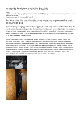 Generuj PDF - Komenda Powiatowa Policji w Będzinie