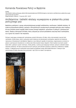 Komenda Powiatowa Policji w Będzinie Konopie w namiocie a