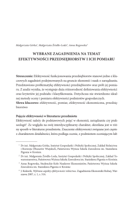 wybrane zagadnienia na temat efektywności przedsiębiorstw i ich