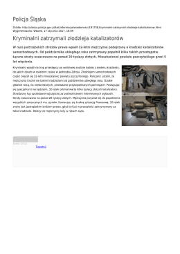 Generuj PDF - Policja Śląska