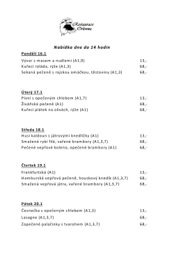 Nabídka dne do 14 hodin Pondělí 9.1