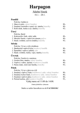 Stáhnout menu