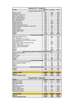 Celkem výdaje 404900 214525 619425 Celkem příjmy 513000