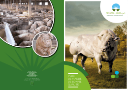 PLUS DE VIANDE DE BONNE QUALIT&Eacute; - Biosan