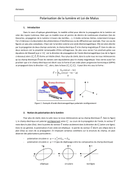 Polarisation de la lumière et Loi de Malus