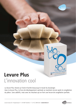 Levure Plus L`innovation cool