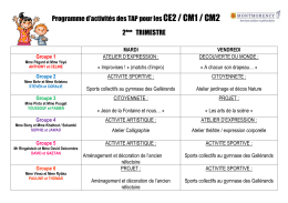 Programme d`activités des TAP pour les CE2 / CM1