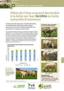 Effets de l`état corporel des brebis à la lutte sur leur fertilitéen lutte