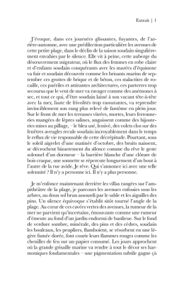 Un beau ténébreux