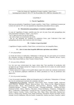 t&eacute;l&eacute;charger - Saint-V&eacute;ran Cru de Bourgogne