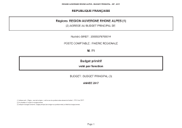Document comptable du budget Primitif 2017