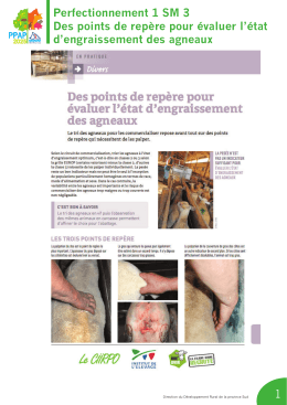 Perfectionnement 1 SM 3 Des points de rep&egrave;re pour &eacute;valuer l`&eacute;tat d