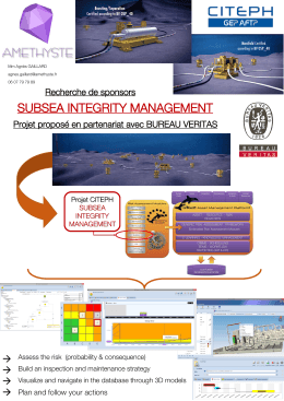 subsea integrity management