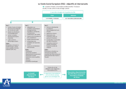 Le Fonds Social Europ&eacute;en (FSE) : objectifs et intervenants