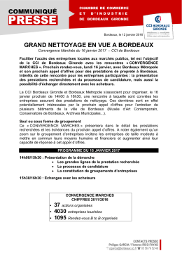 grand nettoyage en vue a bordeaux