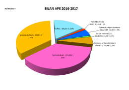 bilan ape 2016-2017