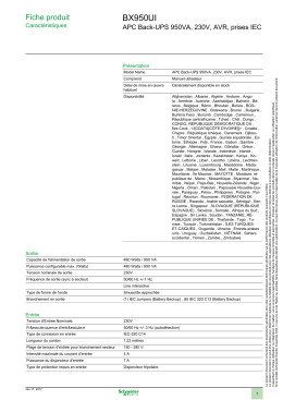 BX950UI - OPS Schneider Electric