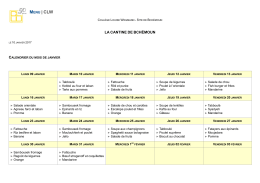 Bchémoun - Collège Louise Wegmann