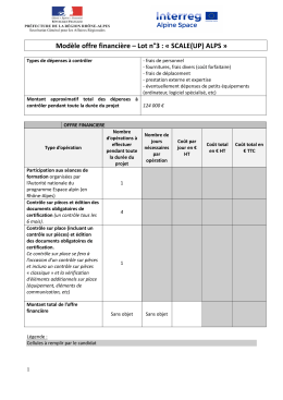 modele-offre-financiere lot 3