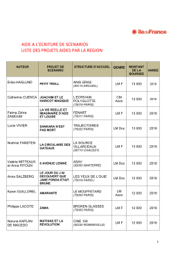 Aide ecriture de scenarios - Liste projets aides 1701 - R&eacute;gion Ile