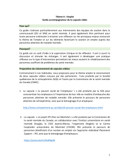 1 Th&egrave;me 6 : Emploi Guide accompagnateur de la capsule vid&eacute;o