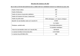 bilan contrôle mois decembre 2016