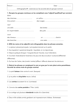 Accords dans le GN 8P