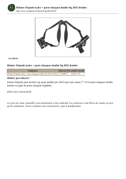 Holster d`épaule kydex + porte chargeur double Sig