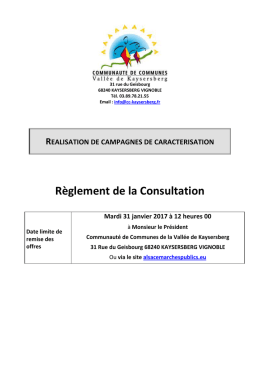 reglement de la consultation