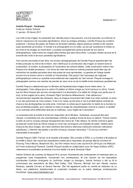 pers tekst Verhack-FR-OK - Hopstreet Gallery Brussels
