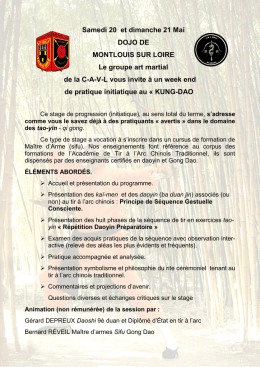 tours 2017 - UNE PRATIQUE CHINOISE EN FRANCE