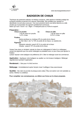 badigeon de chaux - LA COMPAGNIE DES OCRES