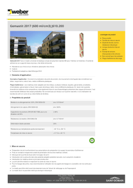Gomastit 2017 (600 ml/cm3) J610.200 - Saint