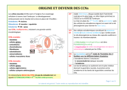 ORIGINE ET DEVENIR DES CCNs