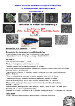 Séminaires de microscopie électronique - MCAM