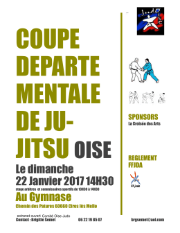 COUPE DEPARTEMENTALE DE JU JITSU affiche
