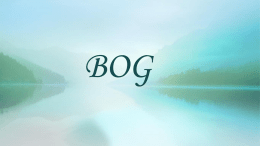 Bog