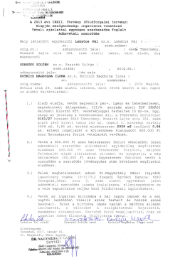 Szaszkó Zoltán és Kotricz Magdolna 0101_27 hrsz 2017.01.16