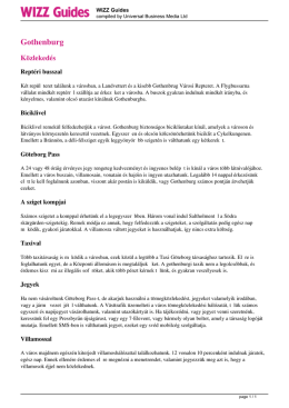WIZZ Guides