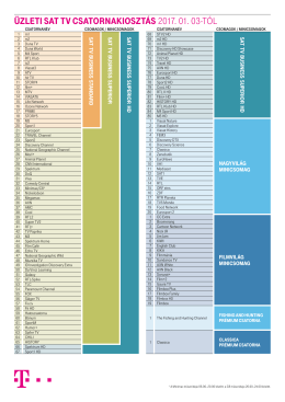 ÜZLETI SAT TV CSATORNAKIOSZTÁS 2017. 01. 03-TÓL