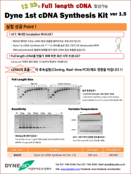 실험 성공 Point