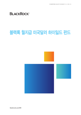 블랙록 월지급 미국달러 하이일드 펀드
