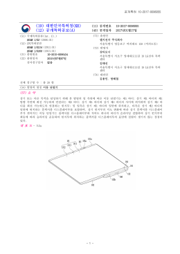 (19) 대한민국특허청(KR) (12) 공개특허공보(A)