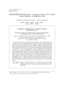 형질전환동물세포주(Big Blue 를 Transgenic Mouse Cell Line