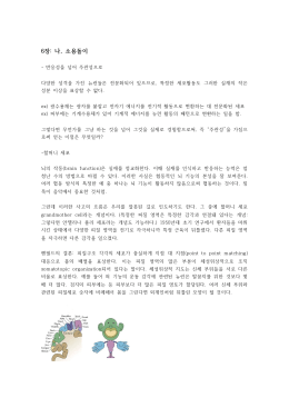 장 나 소용돌이 6 : ,