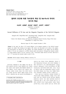 열처리 조건에 따른 Tb이온의 확산 및 Nd-Fe