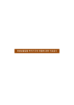 파생상품집합 투자기구의 위험에 관한 지표공시
