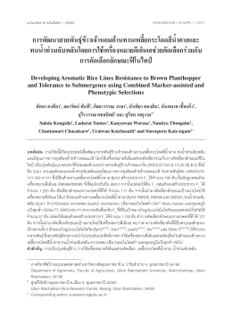 การพัฒนาสายพันธุ์ข้าวเจ้าหอมต้านทานเพลี้ยก