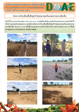 รายละเอียดเพิ่มเติม